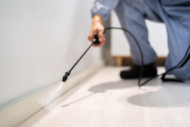 Licensed Fumigation Services service in Stafford, OR - Nex Pest Control