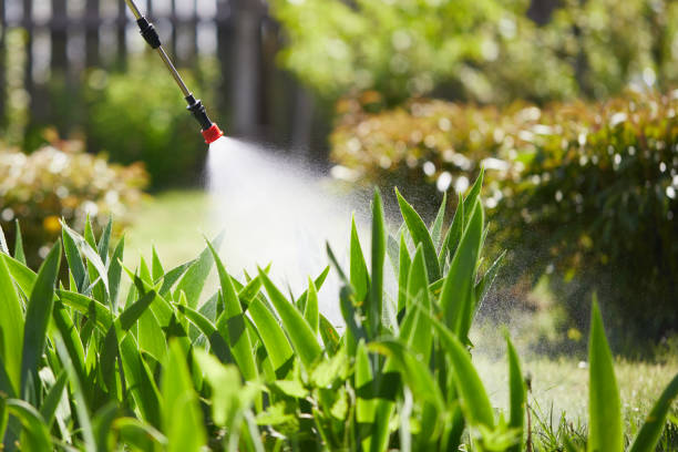 24/7 Emergency Fumigation Services experts in Stafford, OR