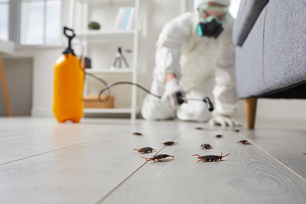 Trusted Fumigation Services service in Stafford, OR - Nex Pest Control
