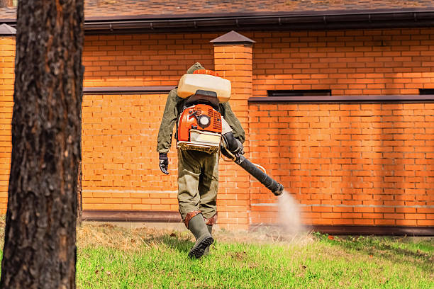 Trusted Emergency Pest Control service in Stafford, OR - Nex Pest Control